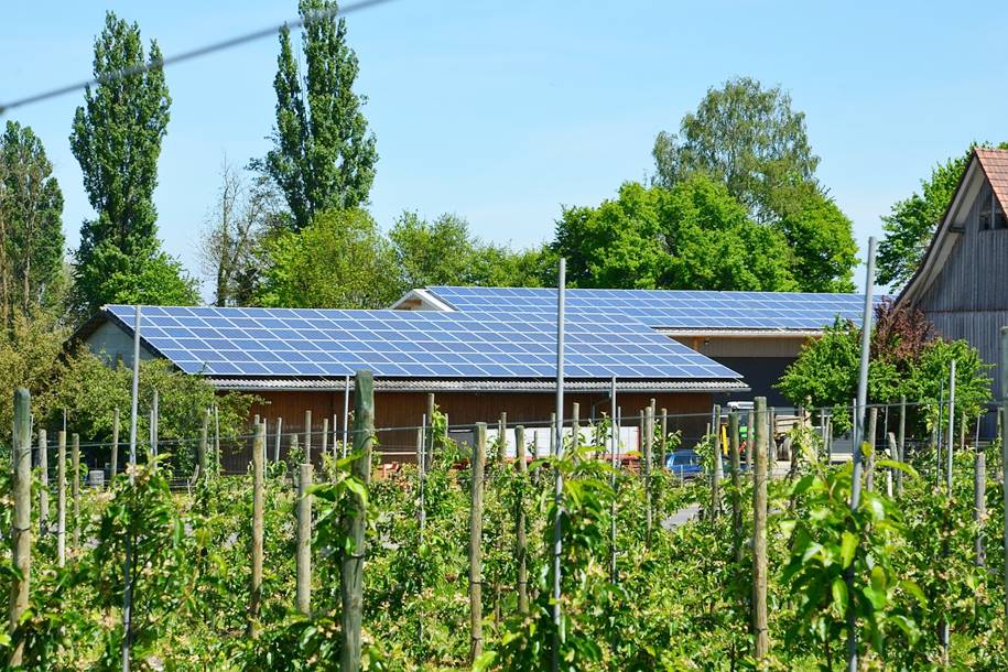 Energia solar para Fazenda Como solicitar um Orçamento